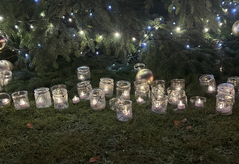 candles-placed-around-a-christmas-tree-at-lights-of-life