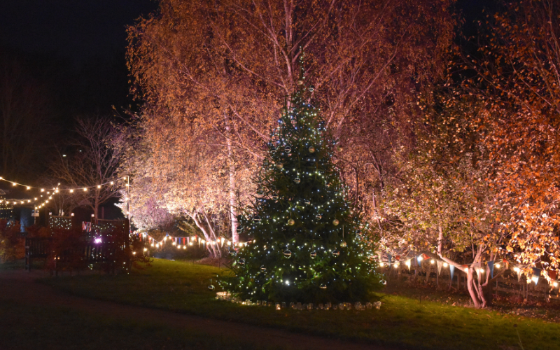 christmas-tree-surrounded-by-lights