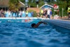 swimmer-taking-on-the-hitchin-triathlon