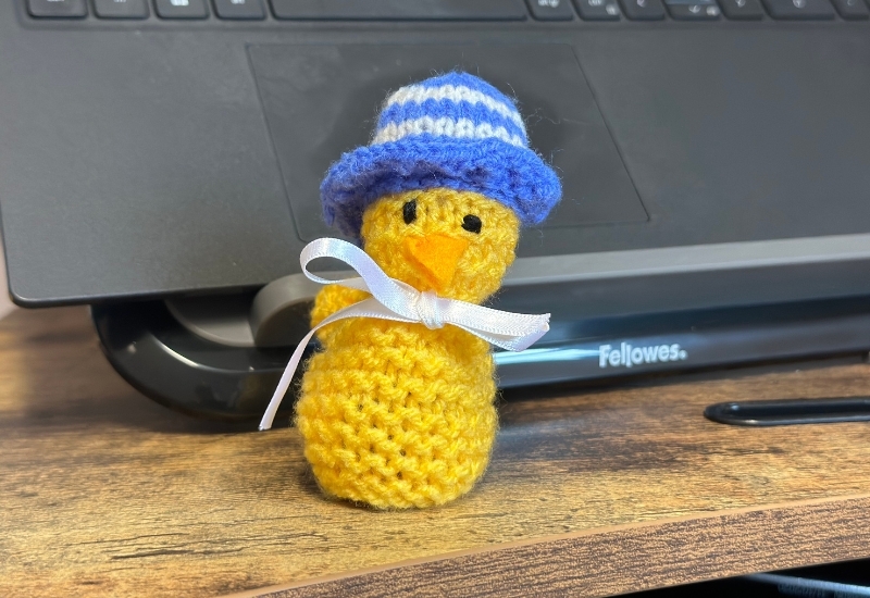 knitted-chicks-wearing-a-hat-in-front-of-a-laptop