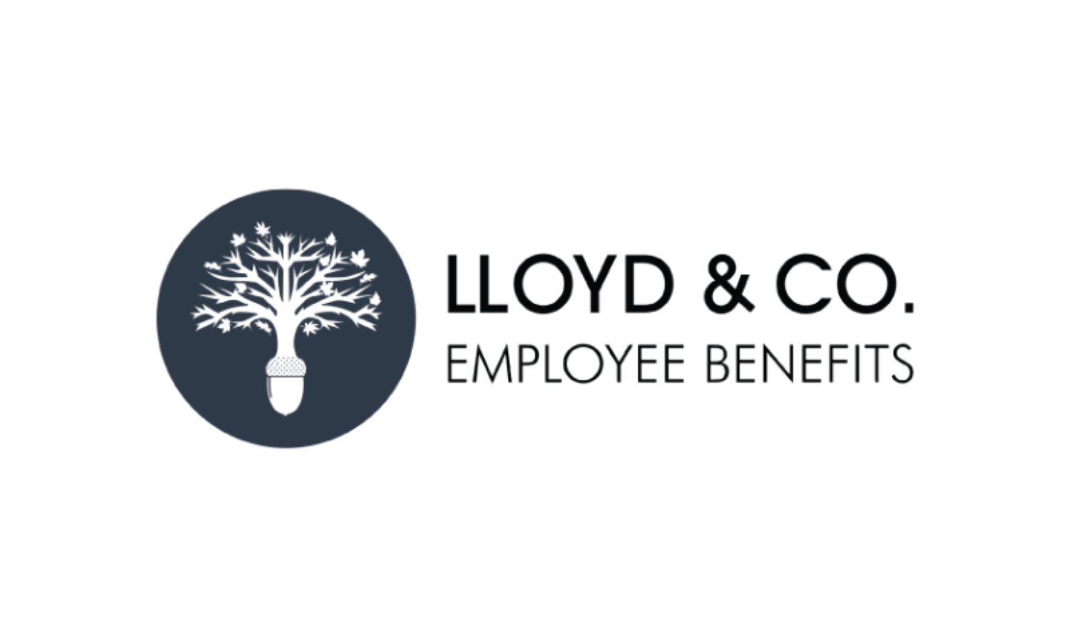 connect-corporate-networking-member-logo-lloyd-co