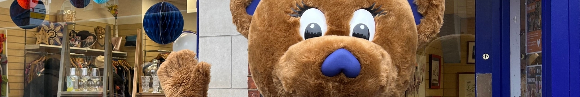 volunteer-harry-the-bear-mascot-outside-hitchin-shop