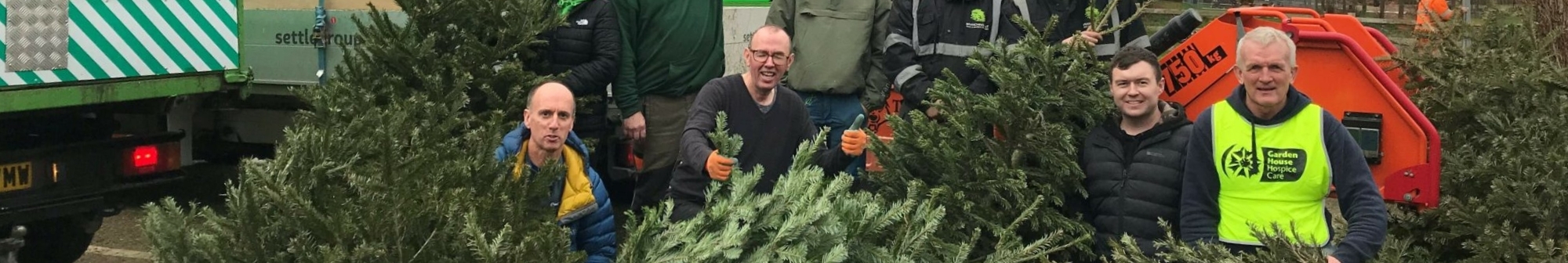 volunteers-stand-amongst-a-mass-of-christmas-trees