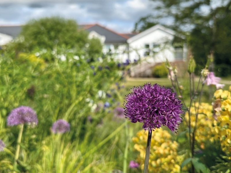 flowers-in-the-gardens-with-a-view-of-the-hospice-in-the-background