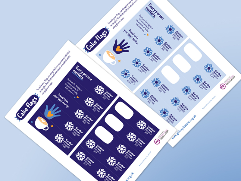 Fundraising-cake-flags