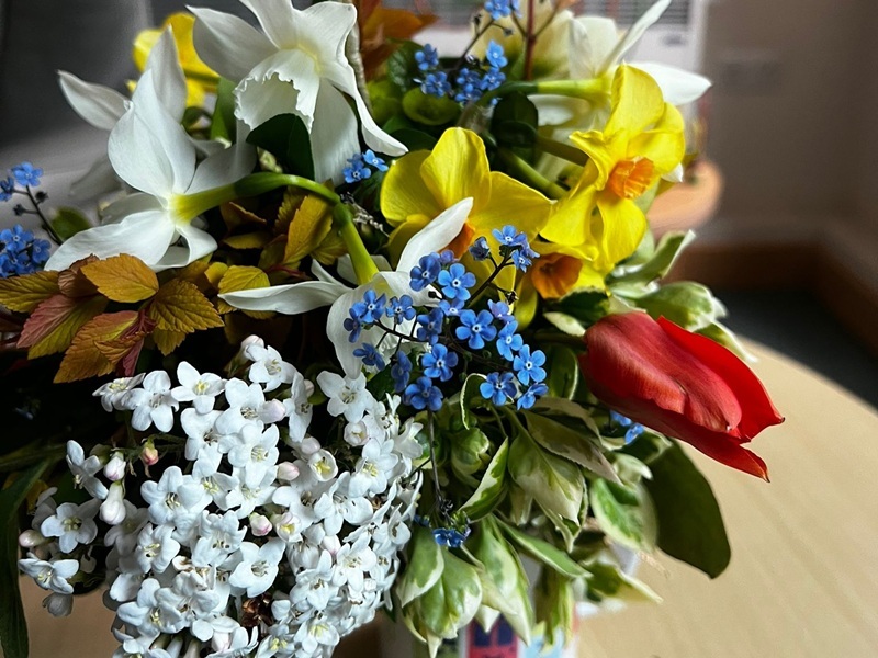 sheenas-hand-picked-bouquet-of-flowers-from-the-hospice-garden