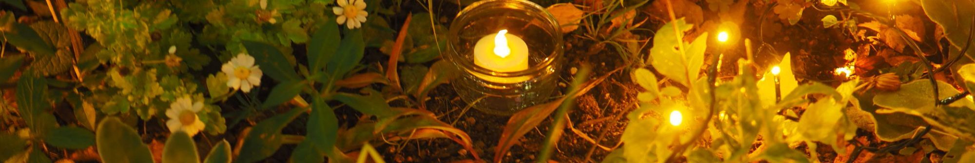 candle-burns-amongst-garden-and-lights