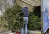 volunteer-loads-christmas-tree-into-back-of-van