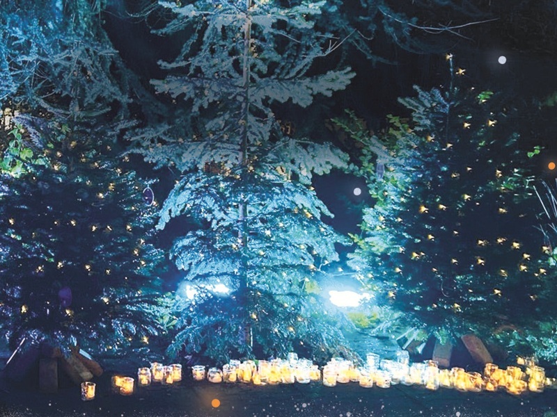 candles-in-jars-placed-in-front-of-lit-up-christmas-trees-outside