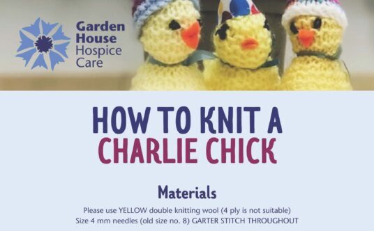 Charlie-Chicks-Knitting-Pattern-2023