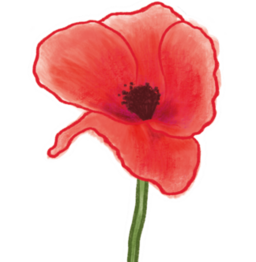poppy