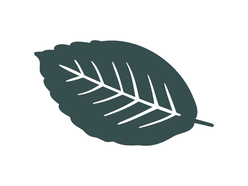 illustration-of-a-green-leaf