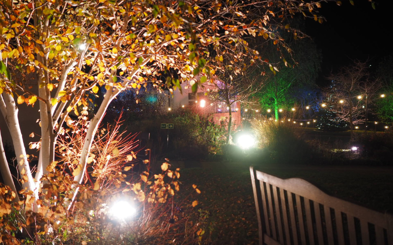 a-tree-in-the-hospice-gardens-lit-up-by-lights-with-a-christmas-tree-in-the-background
