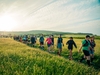 group-of-walkers-at-the-start-of-the-isle-of-wight-ultra-challenge